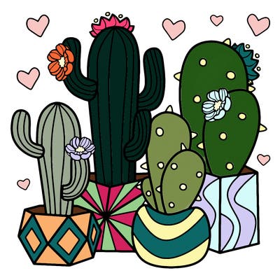flowers_24_new