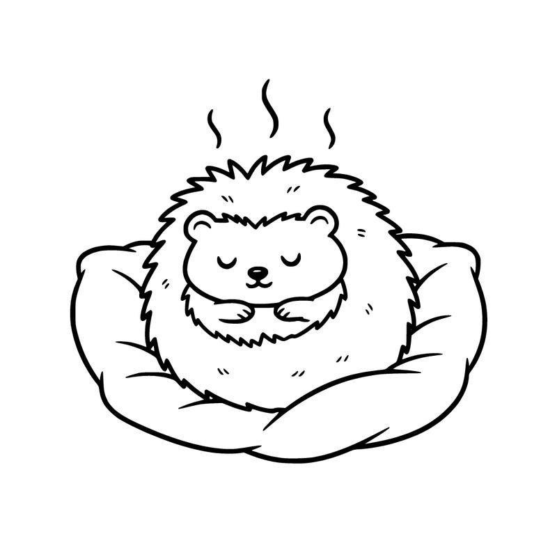 cozy hedgehog
