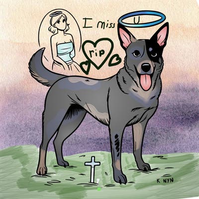 queensland heeler dog in heaven skinny female realistic