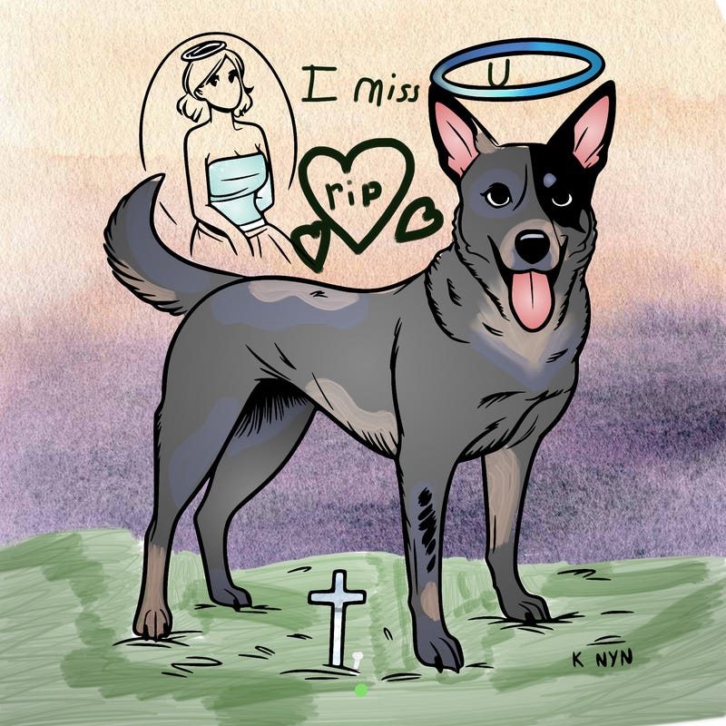 queensland heeler dog in heaven skinny female realistic