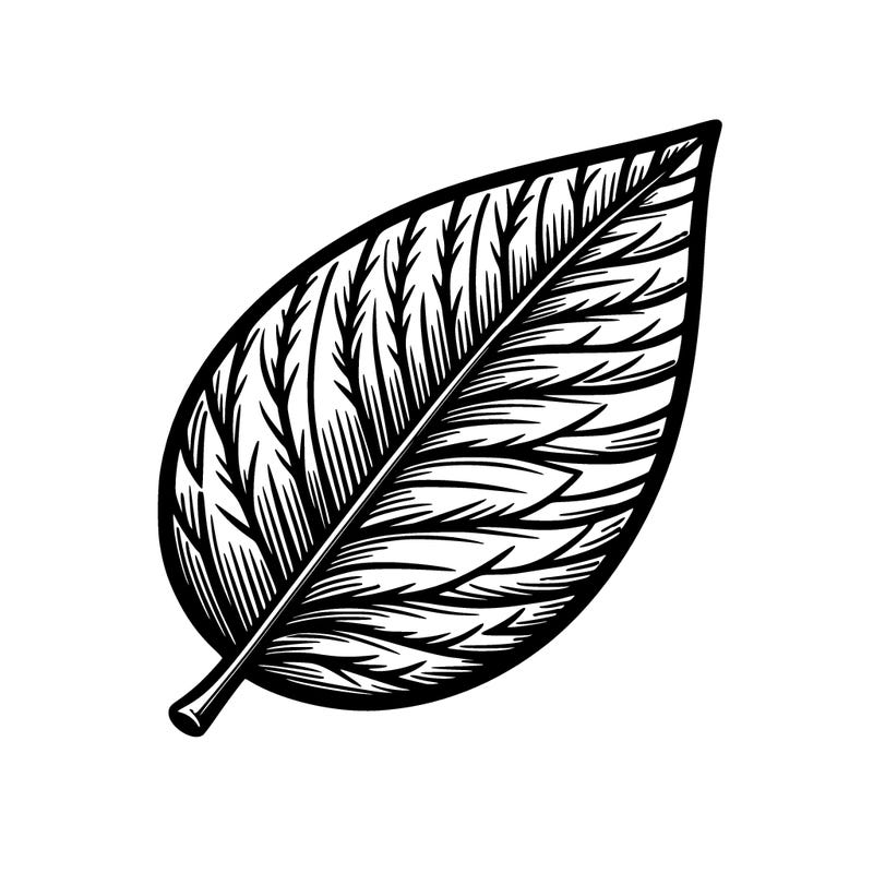 realistic leaf