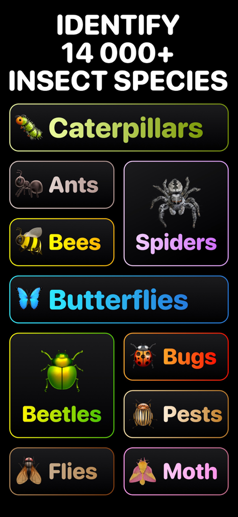 Bug Identifier App - Insect ID - 거미, 나비, 딱정벌레를 포함한 다양한 곤충 범주를 보여주는 인터페이스