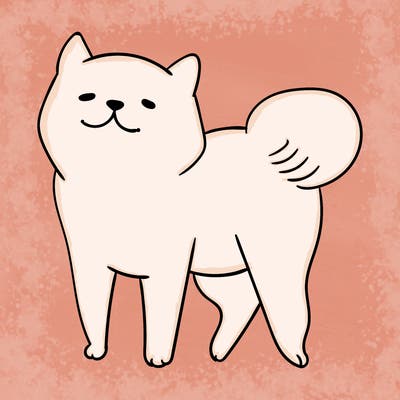 animals_29