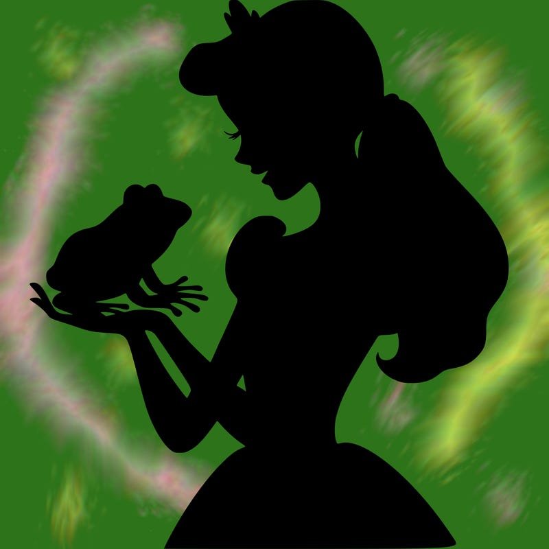 a shadow of a princess holding a frog realistic