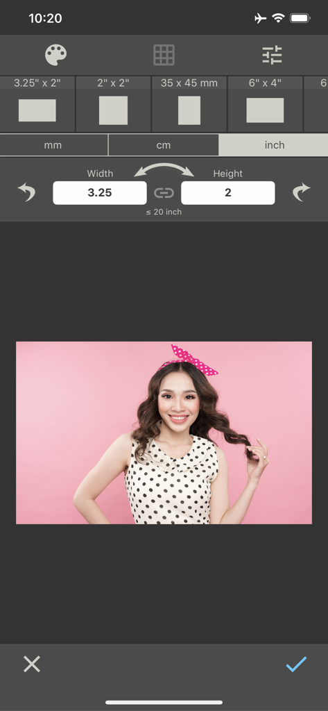 Photo Printing - Interfaz de la aplicación de impresión de fotos que muestra la configuración de ancho y alto en pulgadas para una foto seleccionada.