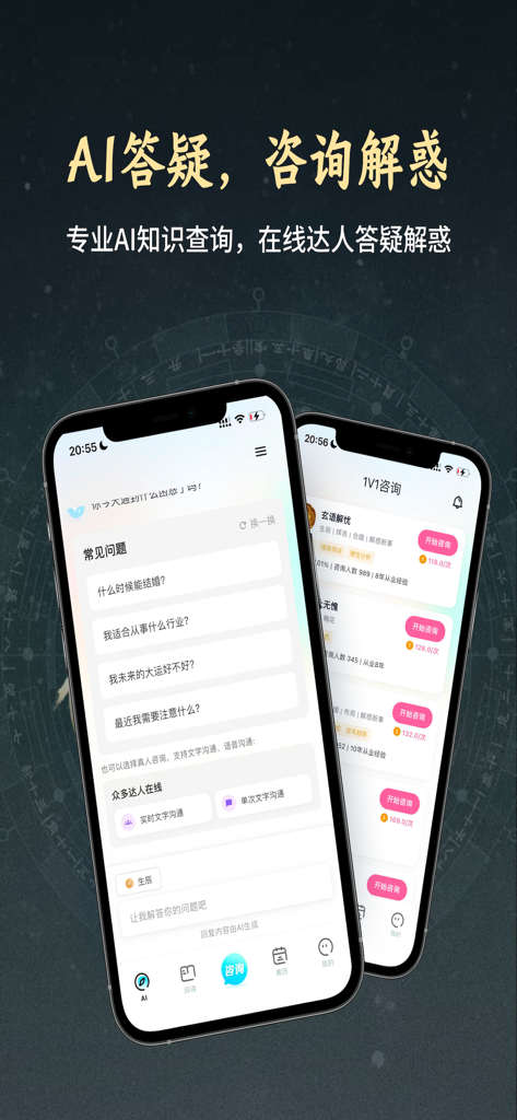 论玄 - Lun Xuan app interface showing AI Q and A and expert consultation services for traditional Chinese culture