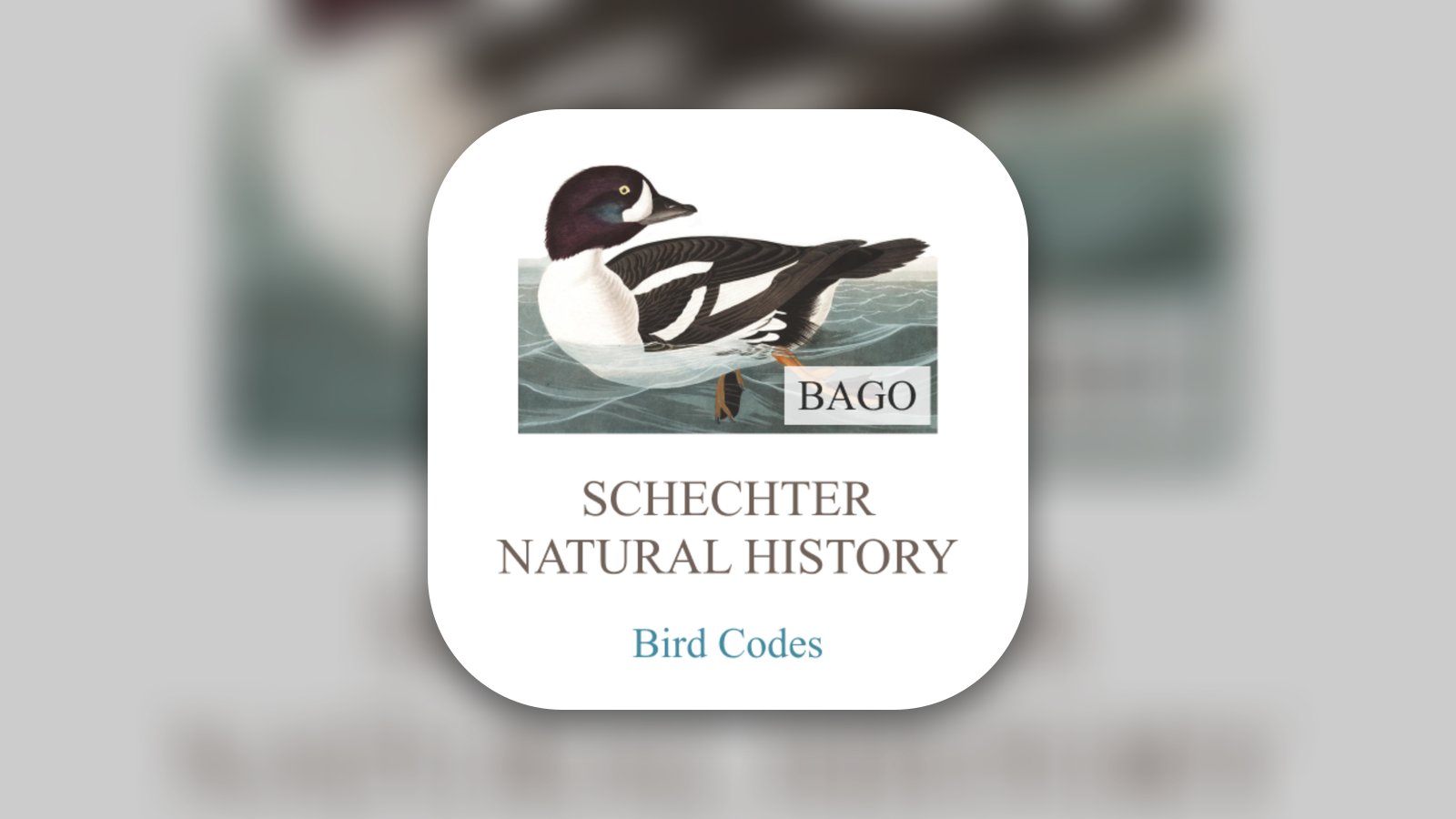 ABA/AOU Bird Codes - Reference App | MWM