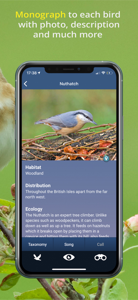 Screenshot of the Bird Song Id UK app showing a detailed profile of a Nuthatch with photo and habitat information