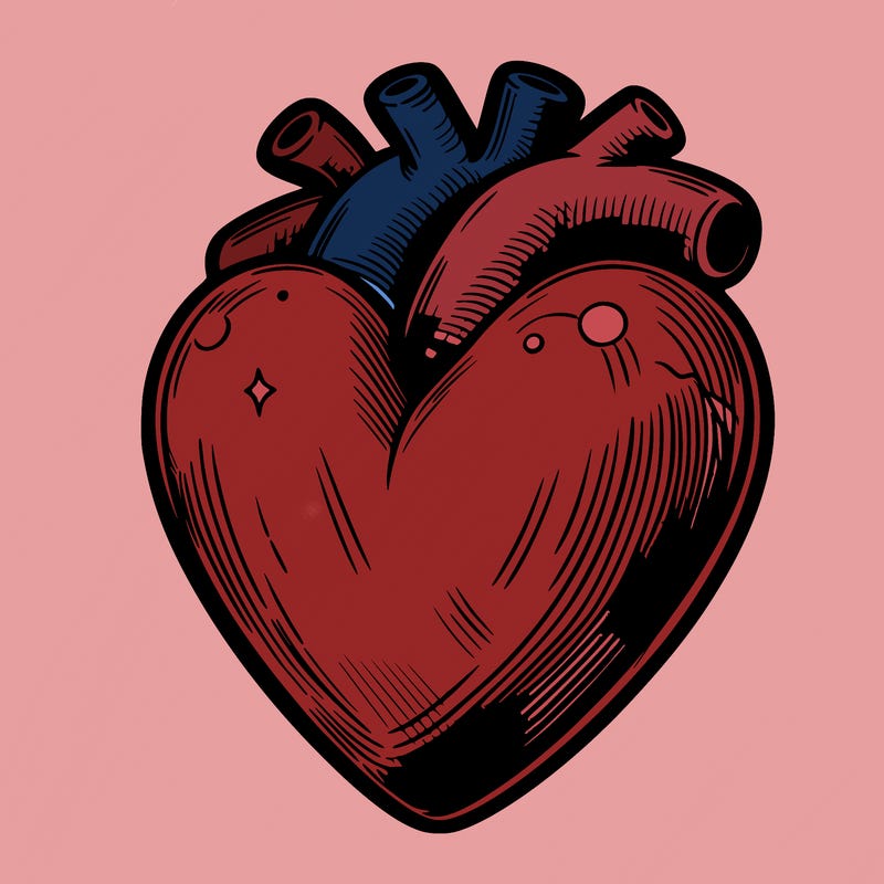 realistic heart