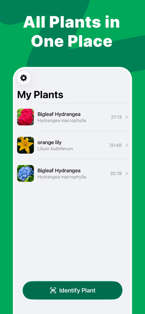 Oberfläche der Plant AI App, die eine Sammlung identifizierter Pflanzen zeigt, darunter Hortensie und orangefarbene Lilie.