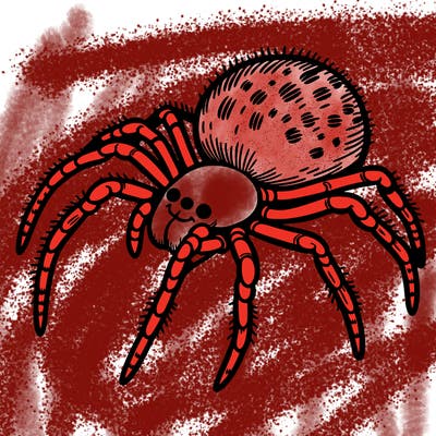 spider