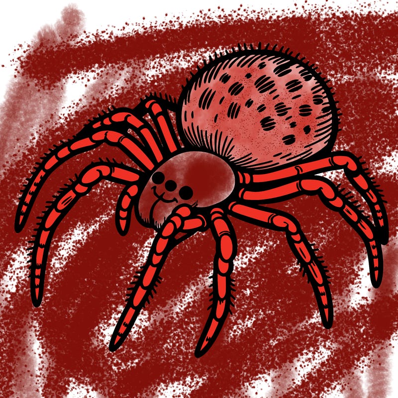 spider