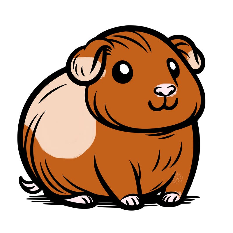 guini pig
