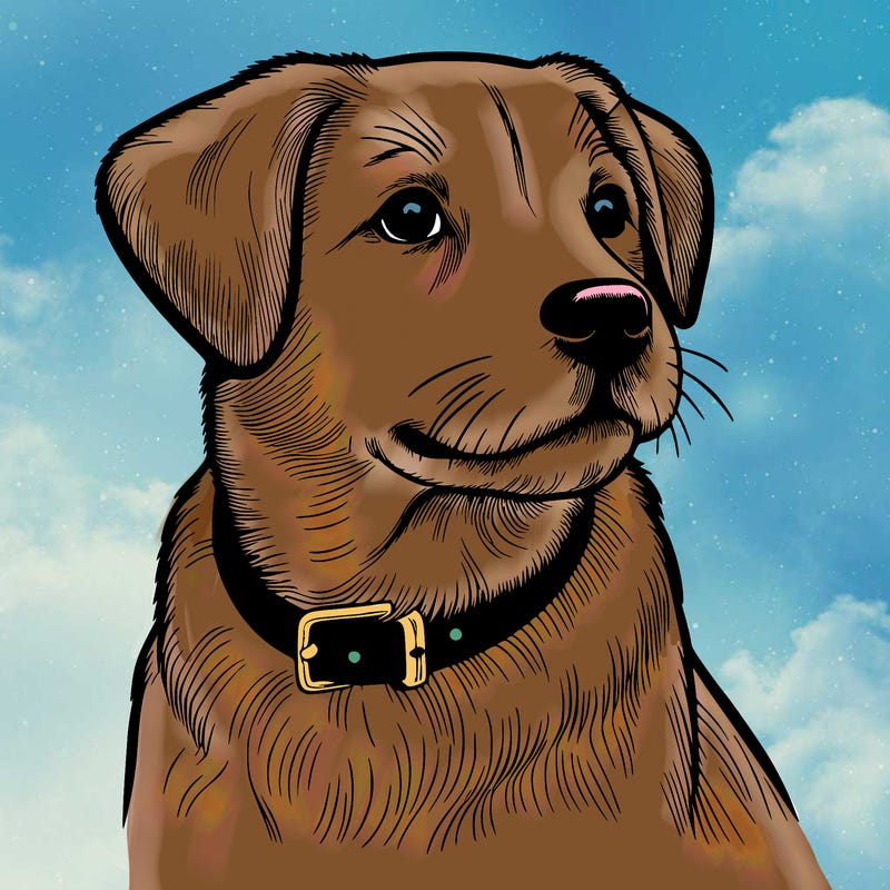 dog realistic