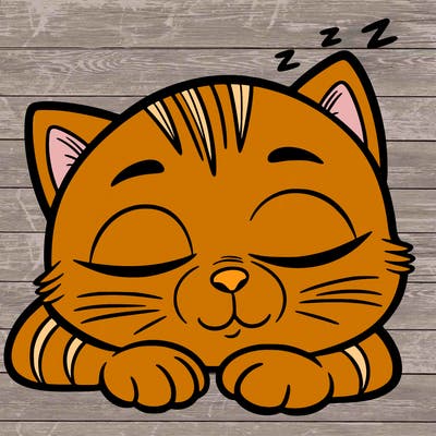 sleepy cat