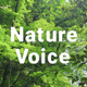 NatureVoice(BGM For Sleep)