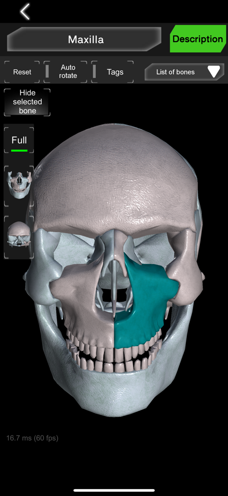 Bones 3D (Anatomy) - Education App | MWM