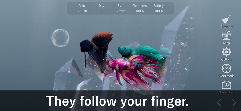 Bettarium - Betta Fish Tank - Colorful betta fish swimming in a crystal decorated virtual aquarium with gameplay interface