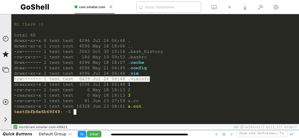 GoShell - GoShell app showing a terminal session with directory file listing and quick command buttons.