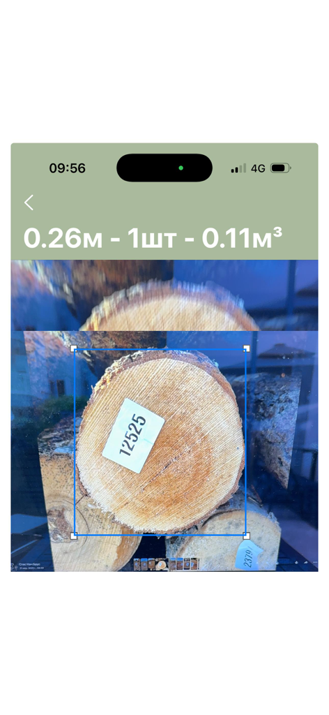 Kuba - Kuba app interface showing AI detection and measurement of a log diameter and volume