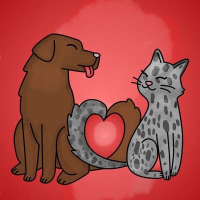 animals_22