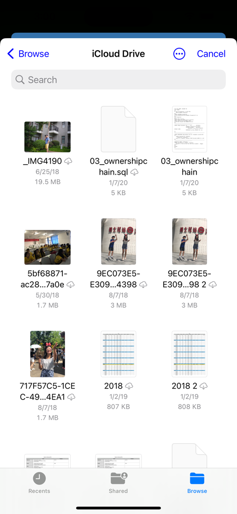 iZip Pro -Zip Unzip Unrar Tool - Interfaz móvil de iZip Pro explorando archivos y fotos almacenados en iCloud Drive