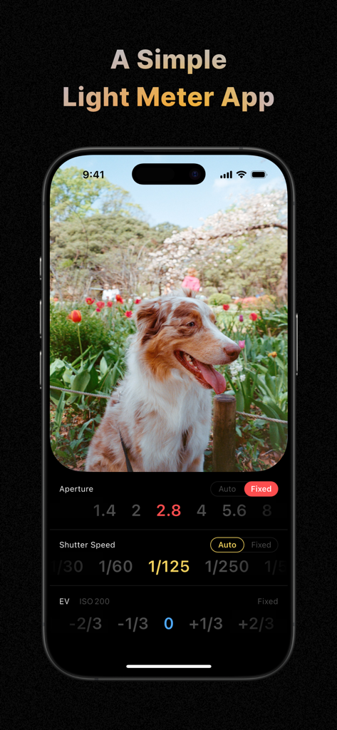 LX - Light Meter - LX Light Meter app interface showing a camera preview of a dog and manual controls for aperture and shutter speed