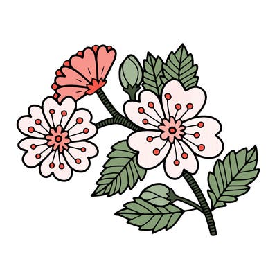 flowers_11