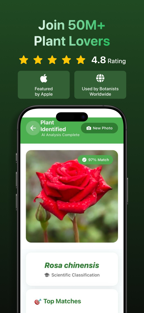 Florio: Plant Identification - Florio app interface showing a red rose identified as Rosa chinensis with ninety-seven percent accuracy through AI analysis
