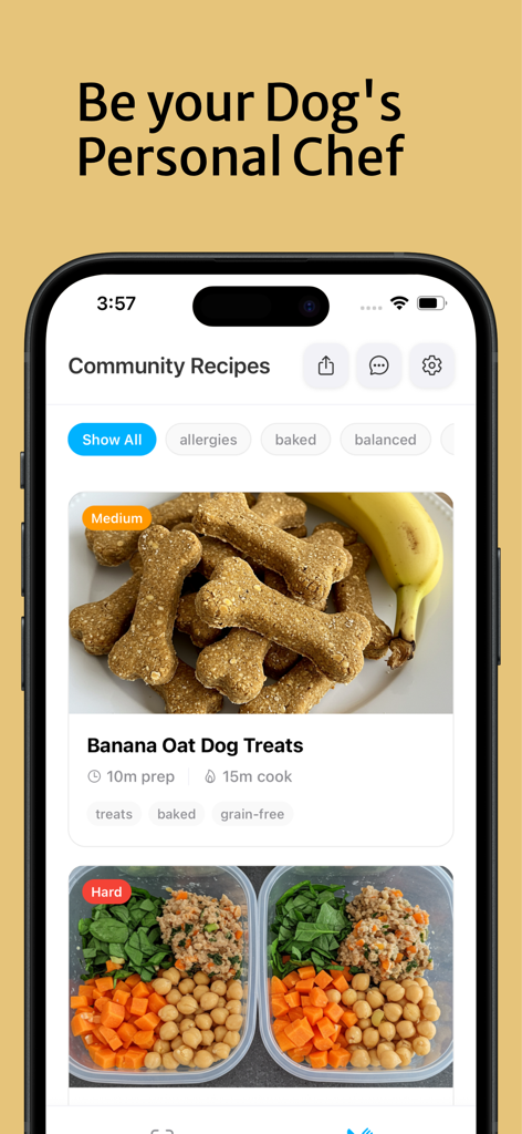 A mobile interface for the Doggo app displaying community recipes for healthy dog treats and meals