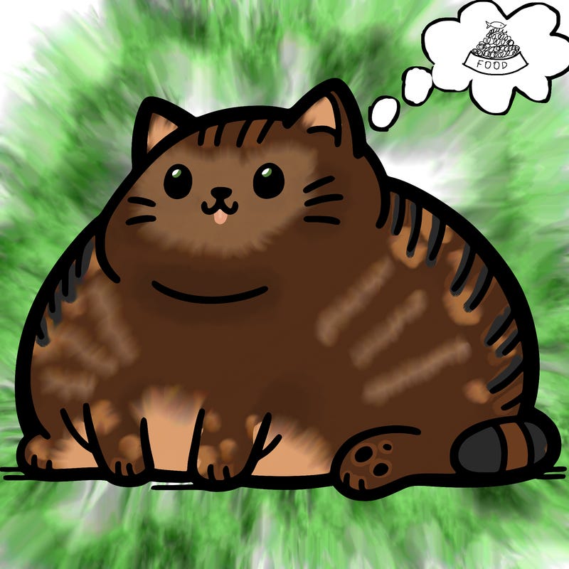 fat cat