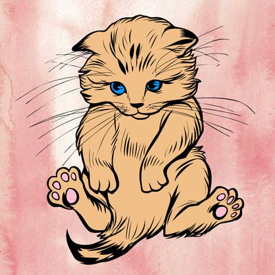 animals_20
