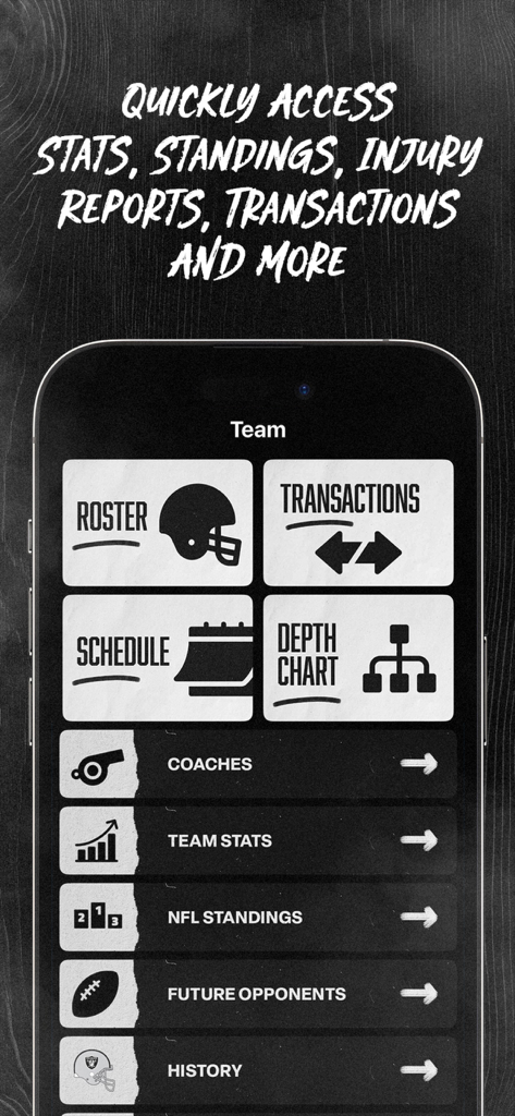Raiders + Allegiant Stadium - Las Vegas Raiders app interface showing team roster schedule and stats menu