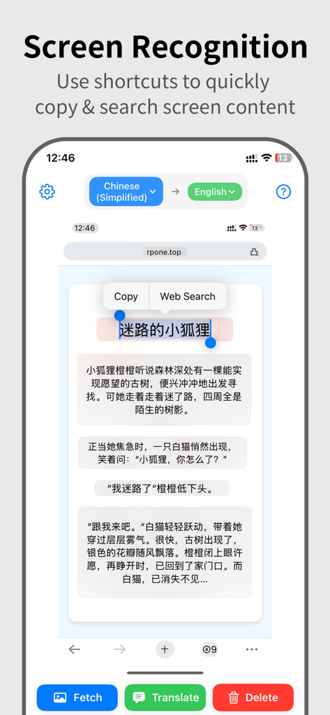 ScreenPick - ScreenPick app interface showing screen recognition and text translation features on a mobile device