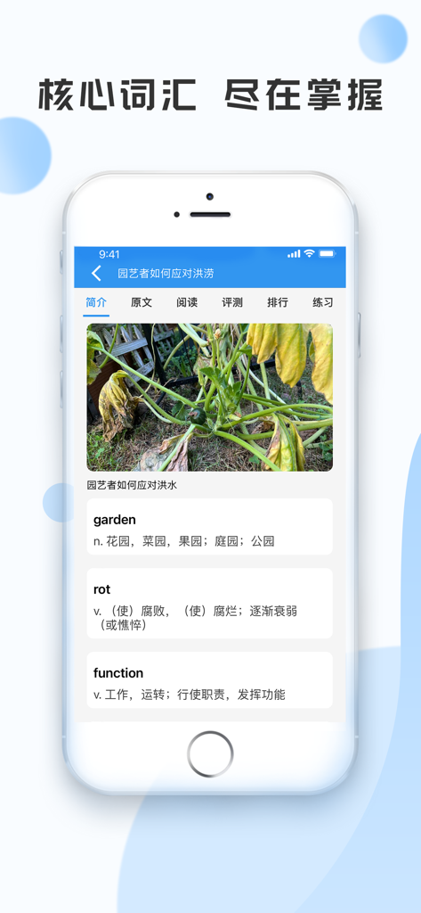 VOA News App-Oberfläche, die englische Kernvokabeln mit chinesischen Übersetzungen anzeigt