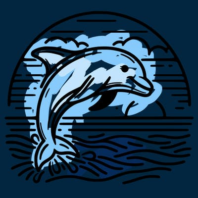 dolphin in a sunset