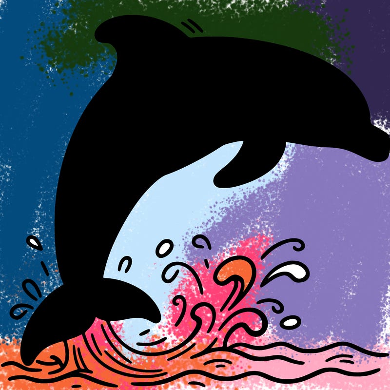 dolphin