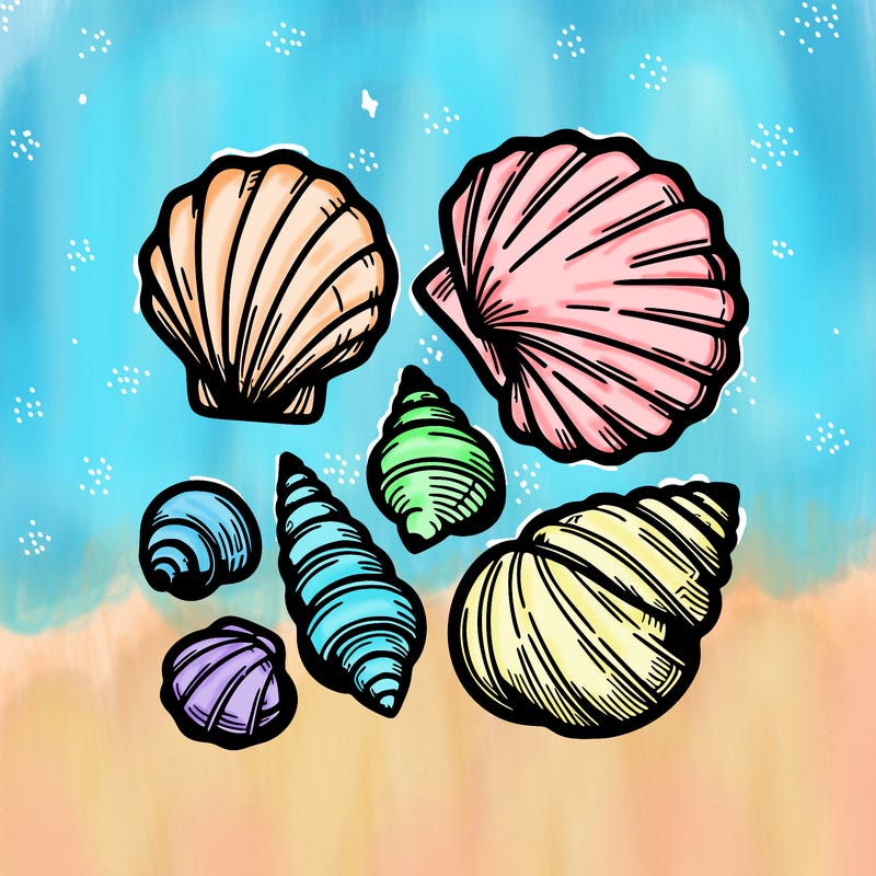 shells