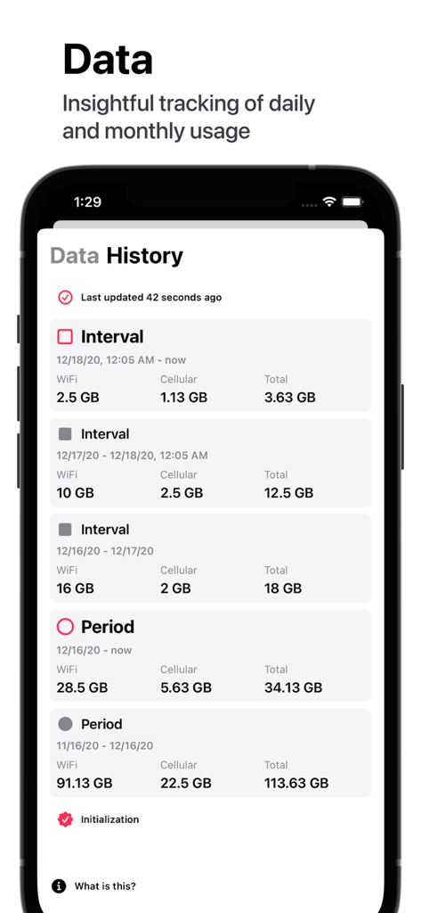 Usage Device Monitor - A mobile app screen showing detailed historical tracking of WiFi and cellular data usage by day and month