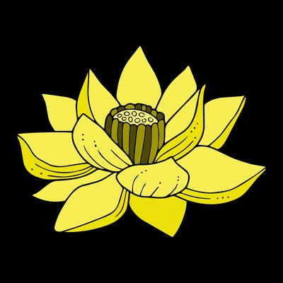 flowers_08