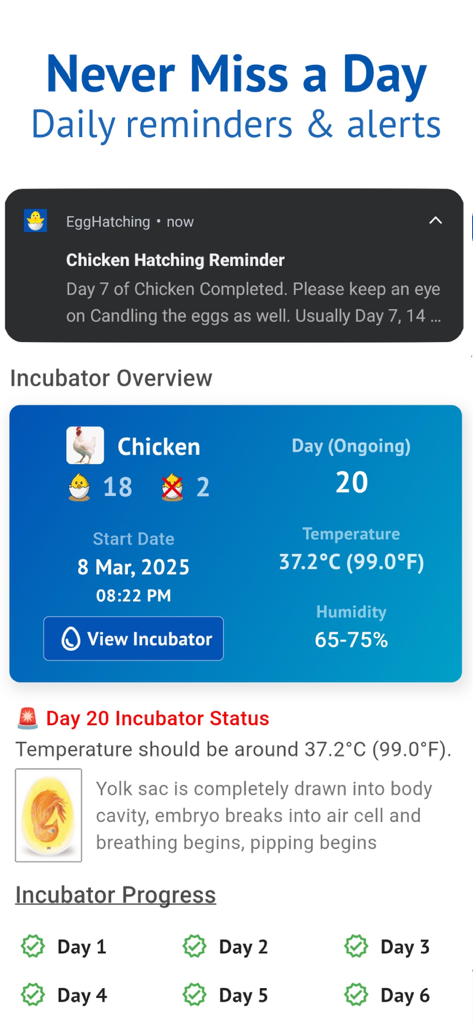 Egg Incubator & Hatch Manager - Egg Incubator app dashboard showing chicken hatching progress status updates and daily reminders
