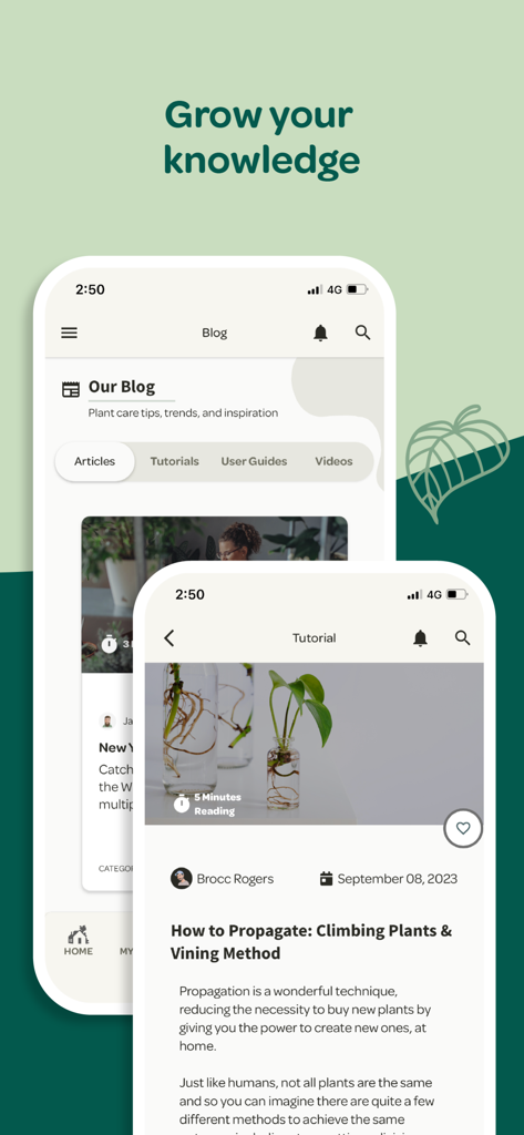 Plant with Willow - Plant with Willow app screens showing the blog section and a plant propagation tutorial