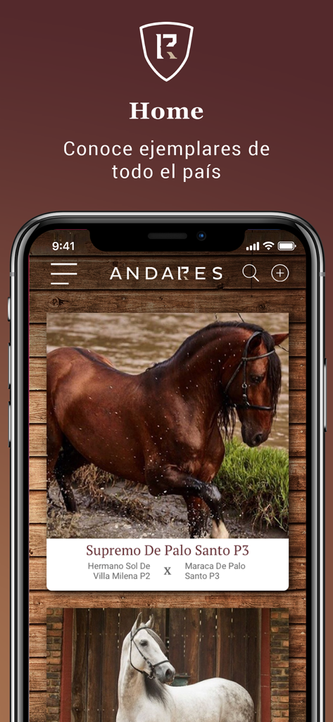 Andares 앱 홈 화면에 콜롬비아 크리오요 말 정보 표시