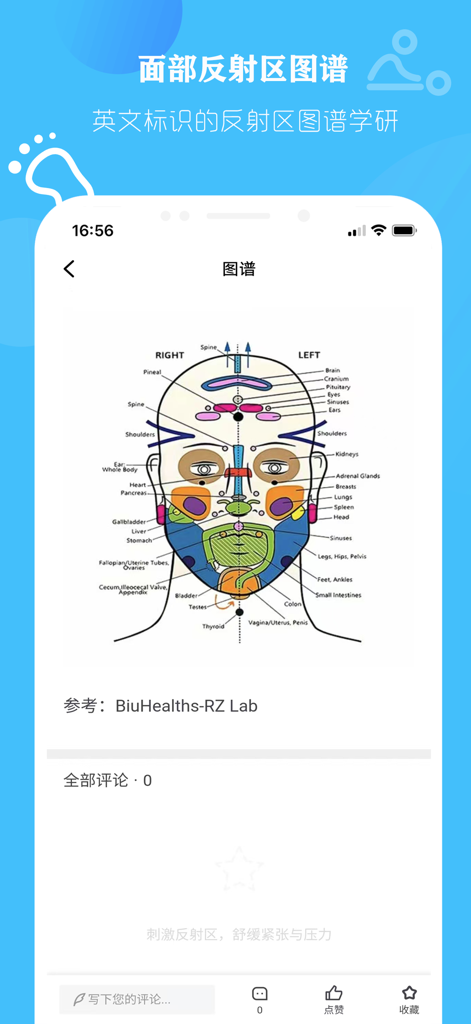 A detailed diagram of human facial reflexology zones with labels in English used for TCM health research.