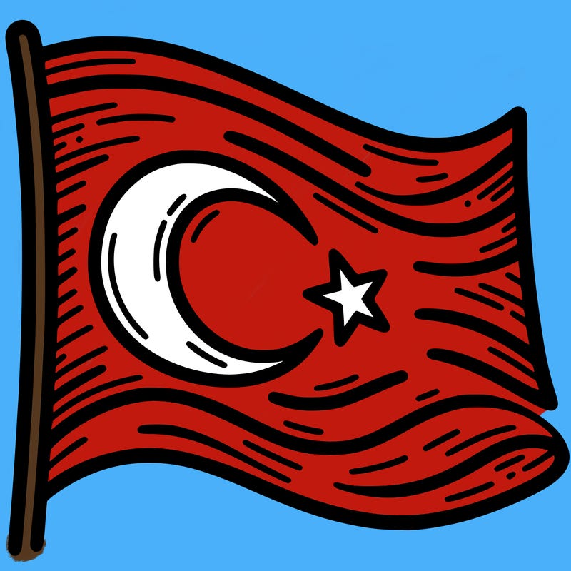 turkish bayraiği