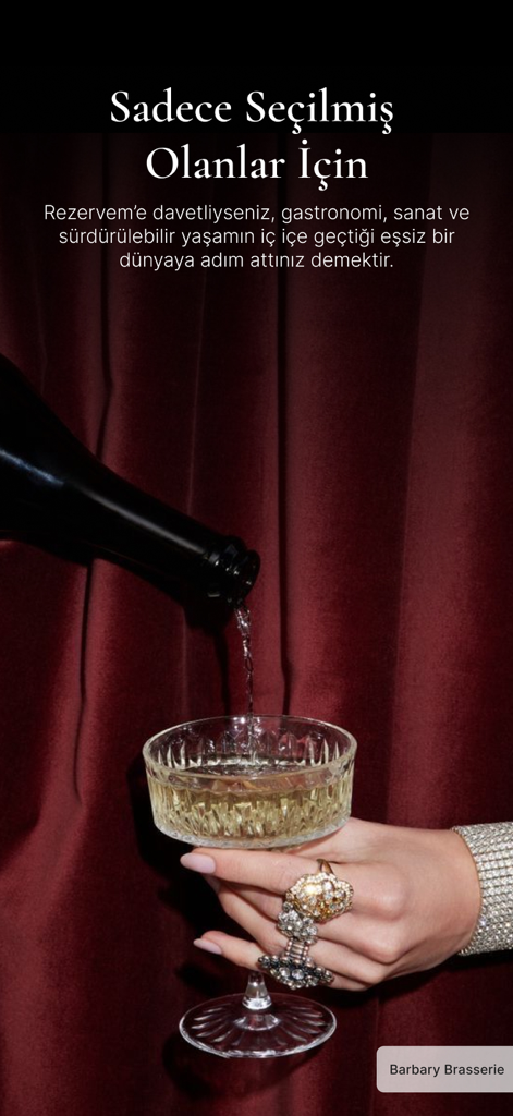 Rezervem - A hand with luxury jewelry holding a champagne glass being filled against a red velvet background at Barbary Brasserie