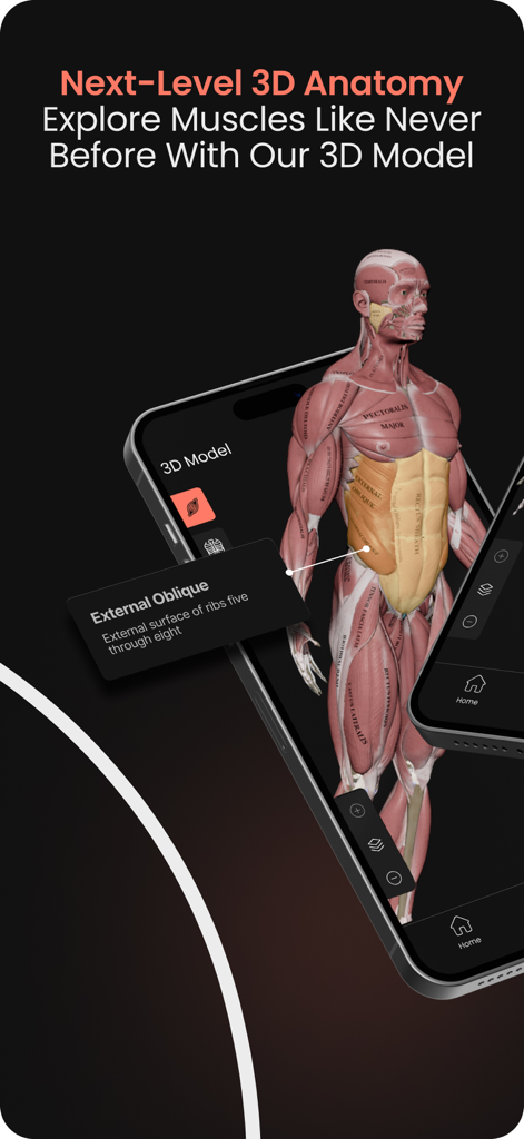 Anatomy by M&M - Modèle musculaire humain 3D détaillé dans l'application mobile Anatomy by MM