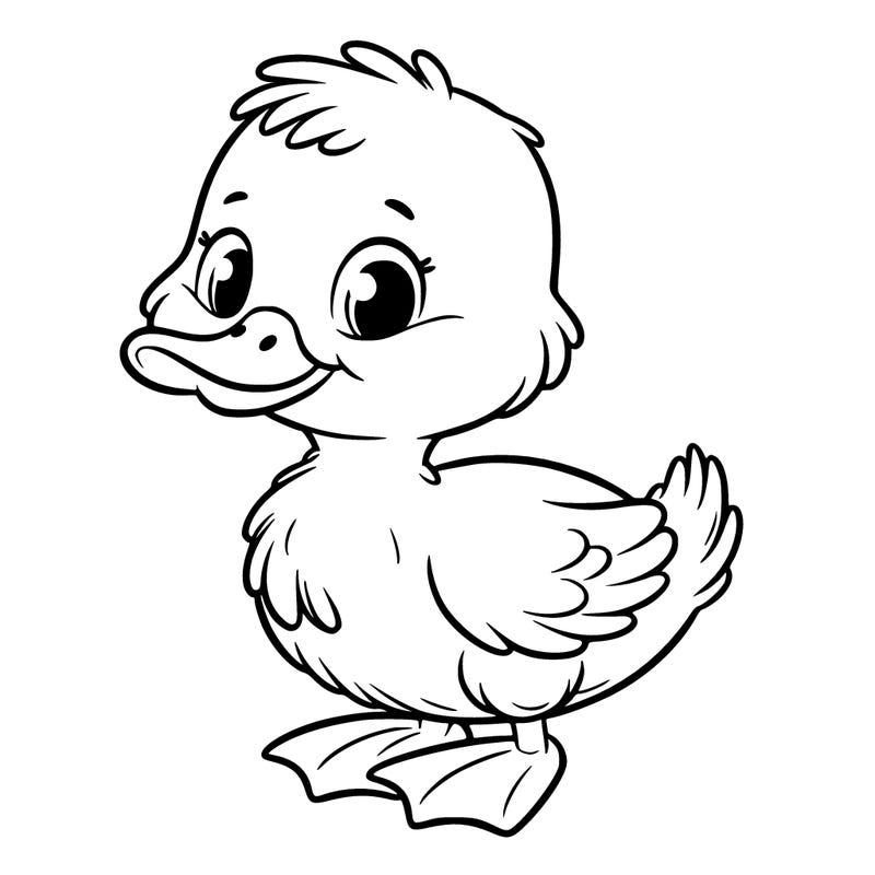 duckling