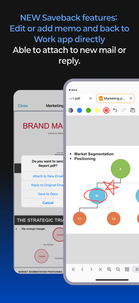 Mobile interface of Polaris Viewer for BlackBerry showing document annotation and email attachment options