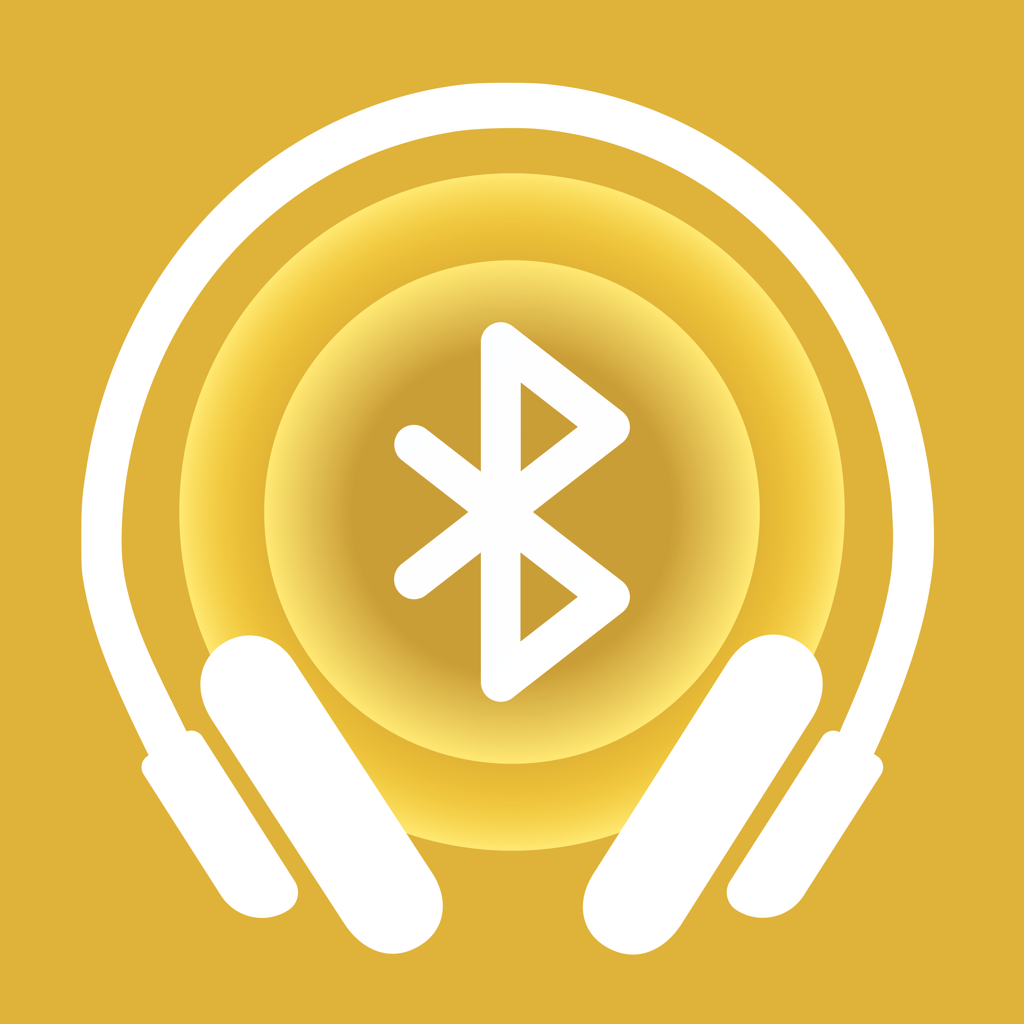 Headphones & Speaker Connect